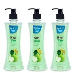 Wonder Fresh Premium Liquid Handwash Bottle with Pump | Germ Protection ...