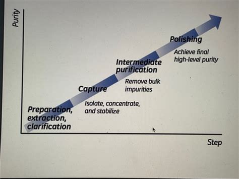 Image result for Basic Principles of Protein Purification