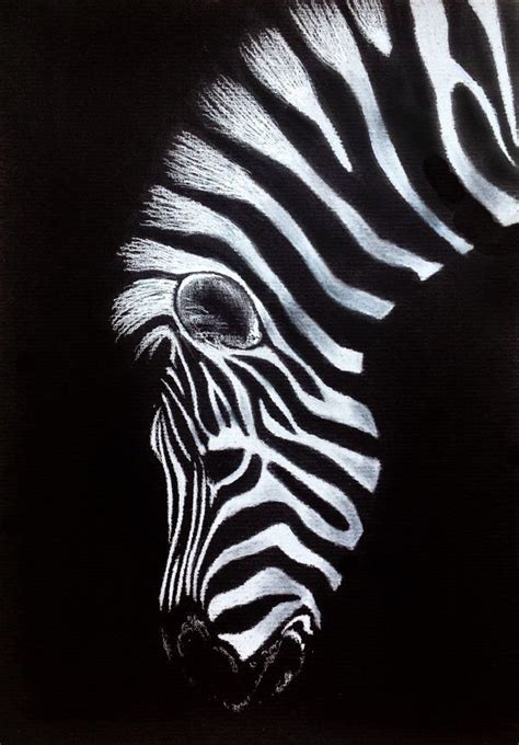 animal drawing on black paper