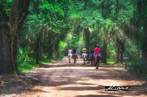 Horseback Riding Old Dirt Road Beaufort South Carolina | HDR ...