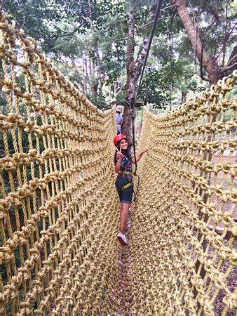 Grange TreeTop Adventure (Yercaud) - What to Know Before You Go (with ...