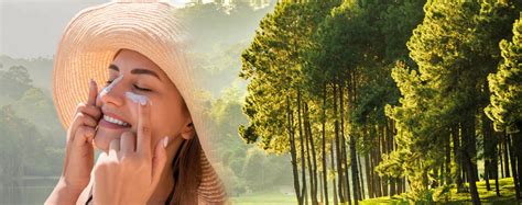 The Journey of Kheoni's Ingredients: From Forest to Your Skin – KHEONI