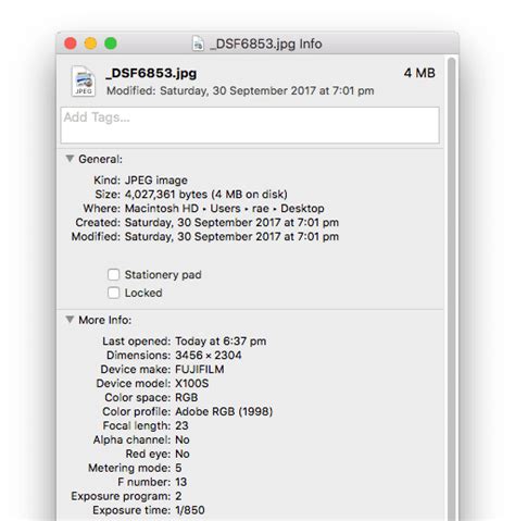 Metadata Management Process Flow 的图像结果