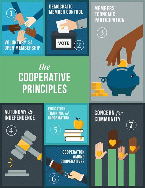 Co-operative Principles 的图像结果