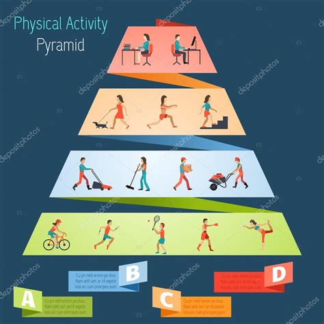 Physical Activity Pyramid Infographics — Stock Vector © macrovector ...