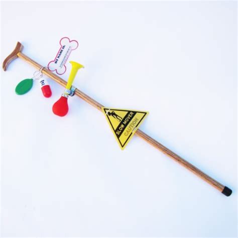 Buy Adult Birthday Over the Hill Party Gag Gift Walking Stick Cane W ...