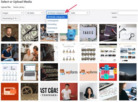 Image result for Media Storage Library