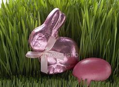 Image result for Easter Studio Photography