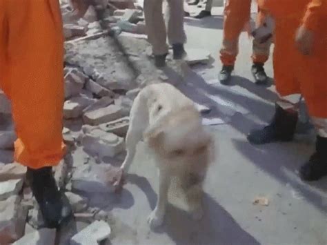 4-storey building collapses in Delhi’s Mustafabad, leaving devastation ...