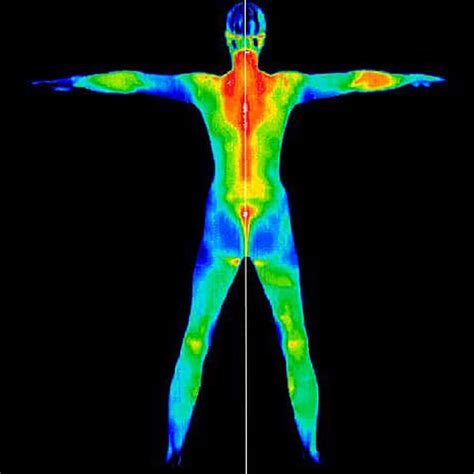 Image result for Body Scan Open