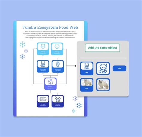 Image result for Create a Food Web