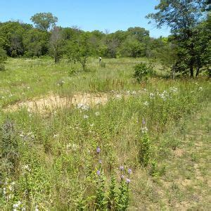 Sauk Prairie Tour, Riverfront Park, Sauk City, WI, Jefferson, 15 June ...