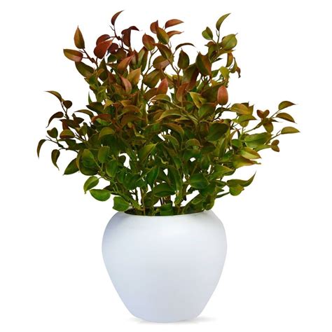 Buy fancymart Artificial Latex Plant Big in Apple Pot (Brown Online at ...