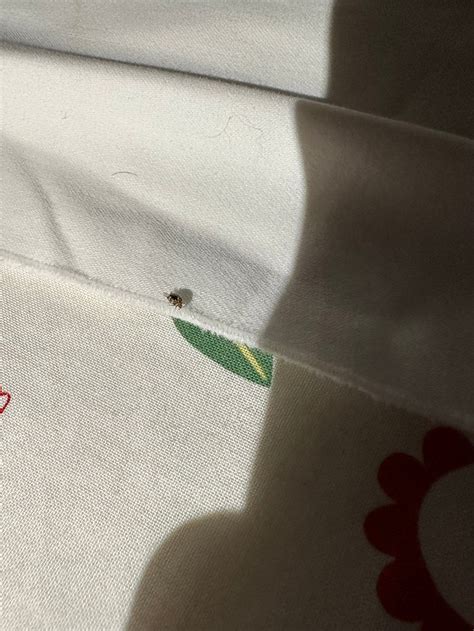 THE ISETTA INN (Savannah) - Lodging Reviews, Photos, Rate Comparison ...