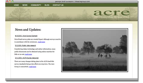 Website Examples 的图像结果