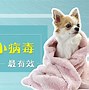 Image result for 细小