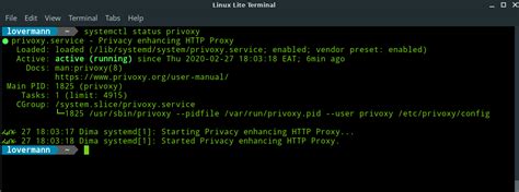 Image result for Privoxy Tutorial