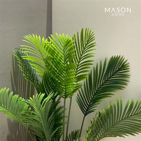 TALL PLANTS – Mason Home by Amarsons - Lifestyle & Decor