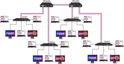 Backbone Network 的图像结果