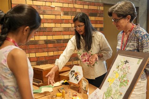 Research, Education, and Policy Interventions Can Address Insect Decline