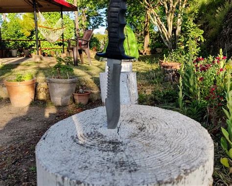 RAMBLING ROSE COTTAGE (Himachal Pradesh) - Cottage Reviews & Photos ...