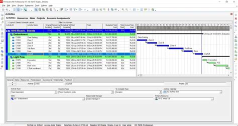 Image result for Primavera Oracle P6 Free PDF