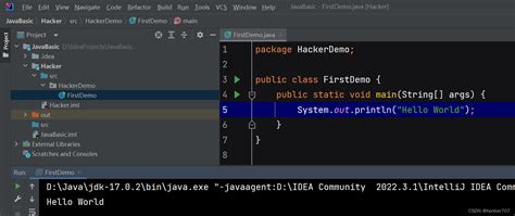 Instalar IntelliJ IDEA 的图像结果