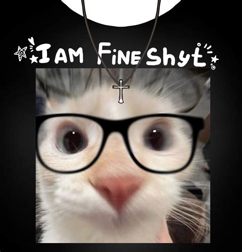 t-shirt roblox cat meme | Ilustrasi karakter, Gambar hewan lucu, Kaos lucu