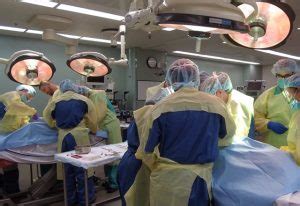 Image result for Dissection Human Postmortem