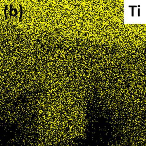 Image result for Stem Fields for TiO2