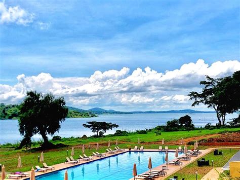 Umoja Motherland Tours Limited (Kampala) - 2022 What to Know Before You ...