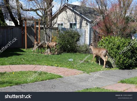 2,140 Family Wa. Images, Stock Photos & Vectors | Shutterstock