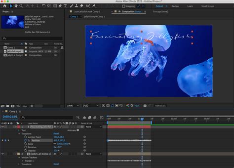 Image result for After Effects Text Follow Object