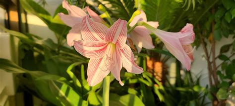 Image result for Design Pattern Notes