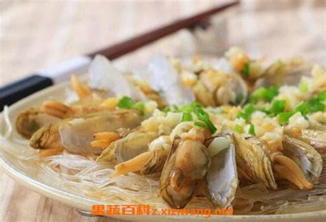 蛏子怎么吃 蛏子的家常做法大全_海鲜食材_做法,功效与作用,营养价值z.xiziwang.net