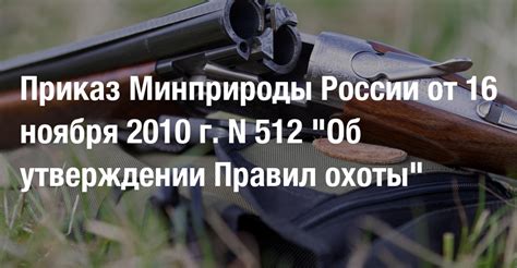 Приказ Минприроды России от 16 ноября 2010 г. N 512 "Об утверждении ...