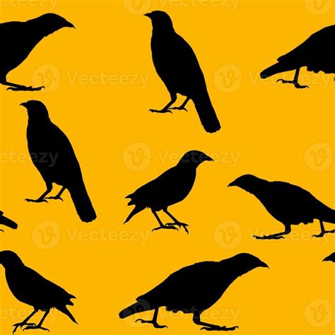 Image result for Crow Pattern-Free
