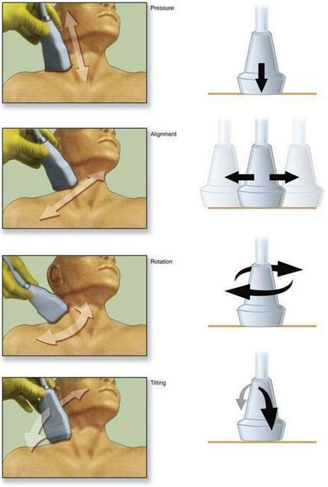 Local Anesthesia Production Line 的图像结果