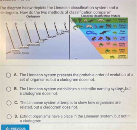 Image result for Classification Chart Maker