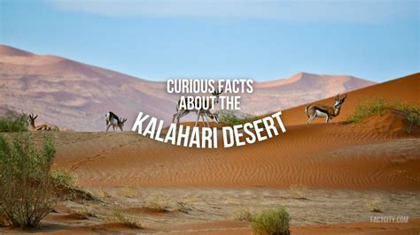 15 Hot Facts About The Sahara Desert - Fact City