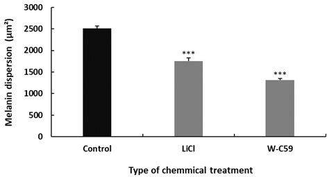 Characterising the Effect of Wnt/β-Catenin Signalling on Melanocyte ...