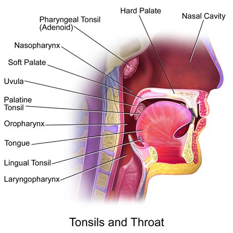 Want to Cure Itchy Throat The Easy Way? Read This | How to Get Rid of Illness