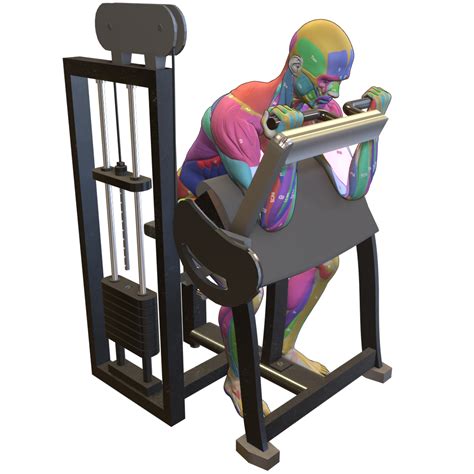 Image result for Bicep Curl Machine Exercise