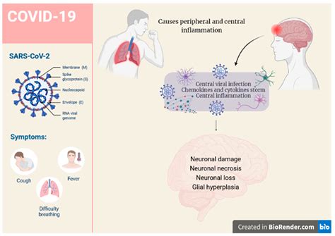 K18- and CAG-hACE2 Transgenic Mouse Models and SARS-CoV-2: Implications ...