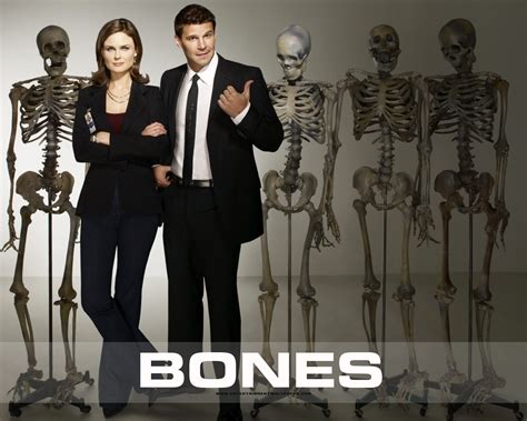 Bones Poster Gallery | Tv Series Posters and Cast