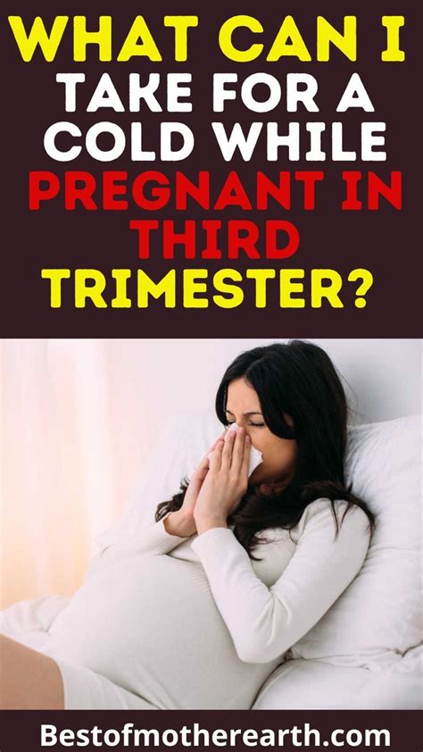 flu while pregnant first trimester