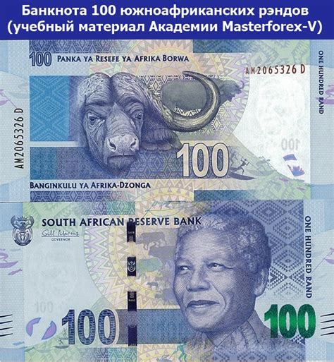 Банкноты (купюры) ЮАР глазами трейдеров Masterforex-V