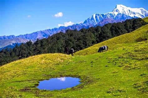 Dayara Bugyal Trekking Package - Scenic Meadows & Snow Peak Views