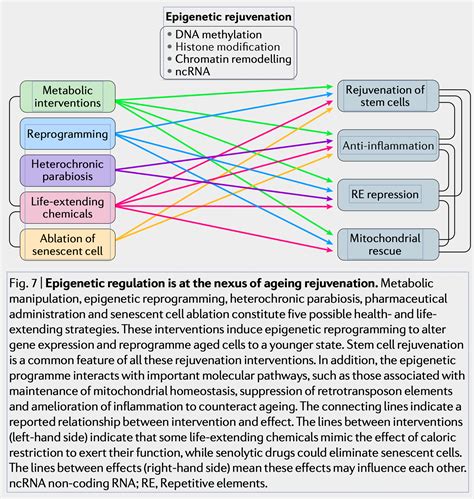 Image result for Gene Expression Reprogramming
