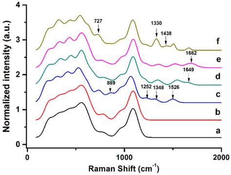 Small-Molecule Analysis Based on DNA Strand Displacement Using a ...